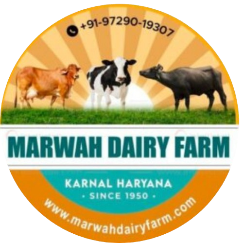 Marwah Dairy Farm
